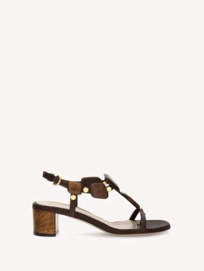 Gianvito Rossi Munduk Wood-embellished Heeled Sandals In Brown