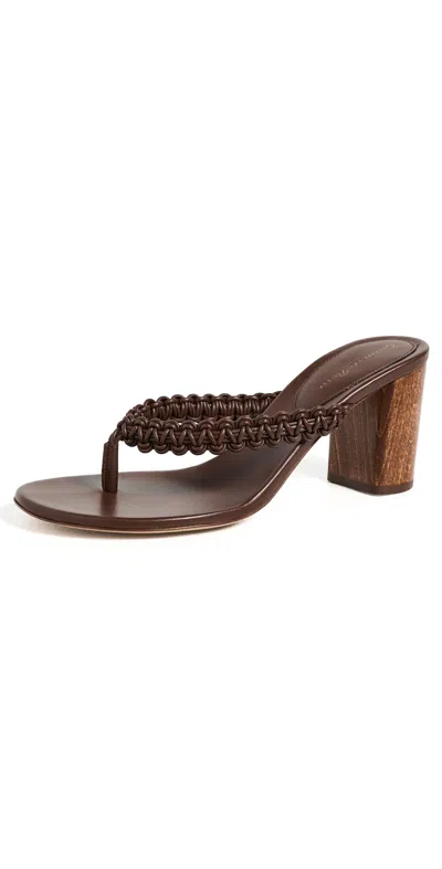 Gianvito Rossi 70 Woven Leather Thong Sandals In Brown