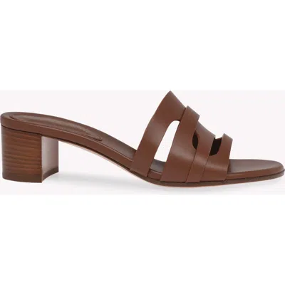 Gianvito Rossi Nora 45 Mules In Brown