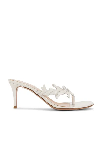Gianvito Rossi Nuit Sandal In White