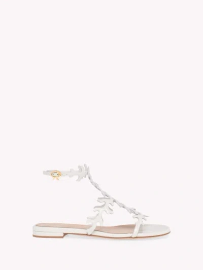 Gianvito Rossi Ocean Flat In White