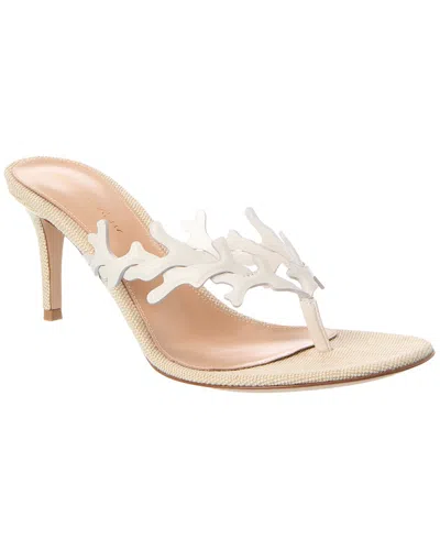 Gianvito Rossi Ocean Thong 70 Canvas & Leather Sandal In Multi