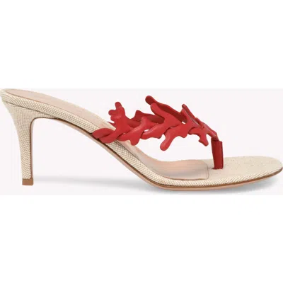 Gianvito Rossi Ocean Thong Sandal In Red