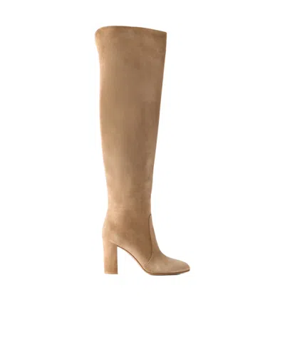 Gianvito Rossi Glen Cuissard 85 Suede Over-the-knee Boots In Brown