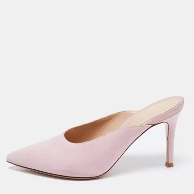 Gianvito Rossi Pink Suede Pointed Toe Mules
