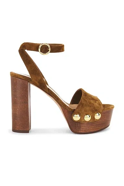 Gianvito Rossi Brown Open Round Toe Heels