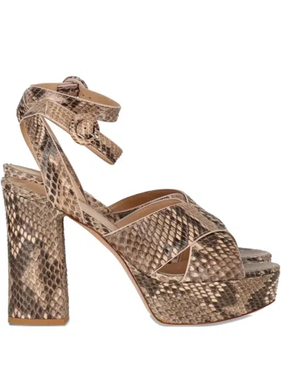 Gianvito Rossi Platform Snakeskin Ankle-strap Sandals