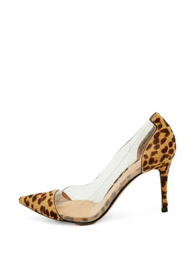 Pre-owned Gianvito Rossi Plexi Leopard-print Pumps In White
