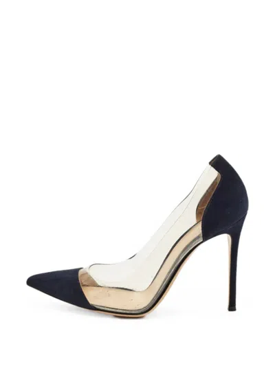 Pre-owned Gianvito Rossi Plexi Pointed-toe Pumps In Blue