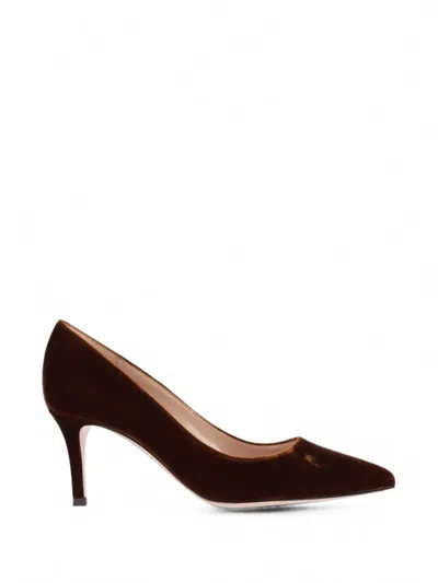 Gianvito Rossi High Heel Pumps Pointed Toe Stiletto Velvet In Brown