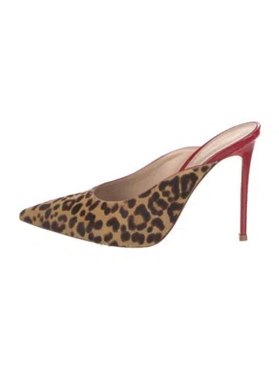 Pre-owned Gianvito Rossi Ponyhair Animal Print Mules In Neutral