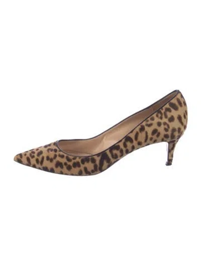 Pre-owned Gianvito Rossi Ponyhair Animal Print Pumps In Neutrals