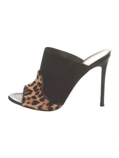 Pre-owned Gianvito Rossi Ponyhair Animal Print Slides In Black