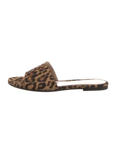 Pre-owned Gianvito Rossi Ponyhair Animal Print Slides In Brown/neutrals