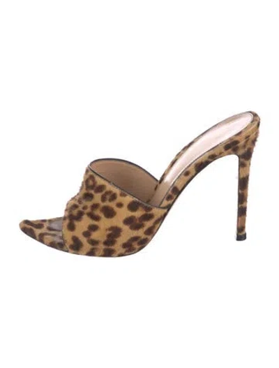 Pre-owned Gianvito Rossi Ponyhair Animal Print Slides In Neutral