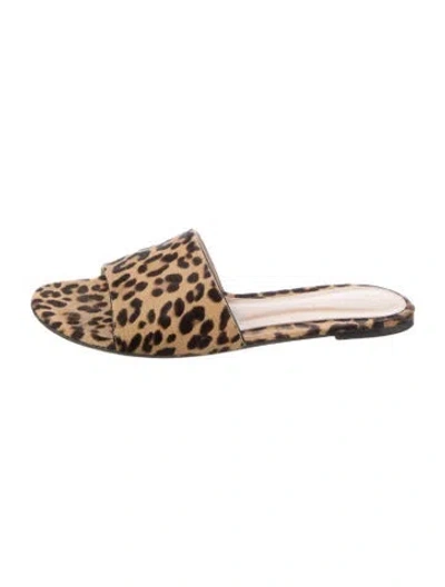 Pre-owned Gianvito Rossi Ponyhair Animal Print Slides In Neutral