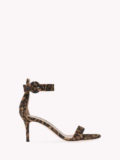 GIANVITO ROSSI PORTOFINO 70