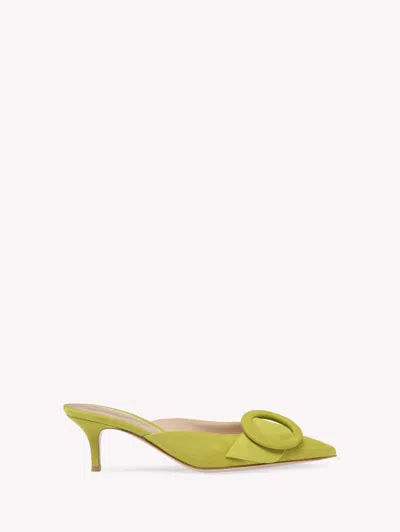 Gianvito Rossi Suede Buckle Point-toe Mules In Pistachio