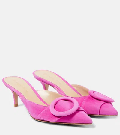 Gianvito Rossi Women's Portofino 55mm Suede Mule In Bloom