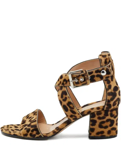 Pre-owned Gianvito Rossi  60mm Leopard-print Sandals