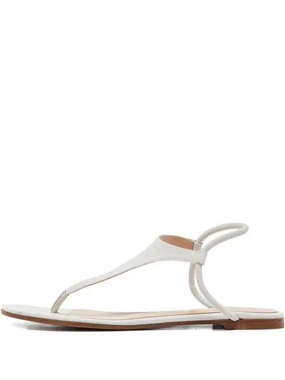 Pre-owned Gianvito Rossi  Leather T-strap Sandals