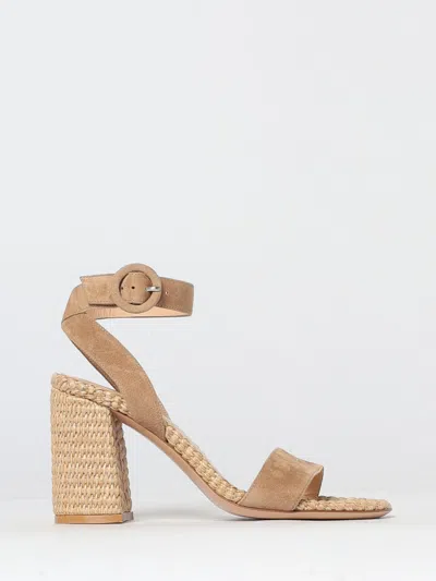 Gianvito Rossi Pump  Woman Color Brown