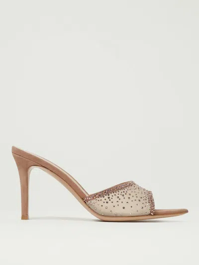 Gianvito Rossi Pumps  Woman Color Pink