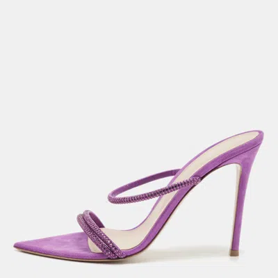 Pre-owned Gianvito Rossi Purple Suede Crystal Embellished Cannes Sandals Size 41