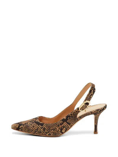 Pre-owned Gianvito Rossi Python-print Pointed-toe Pumps In Neutral