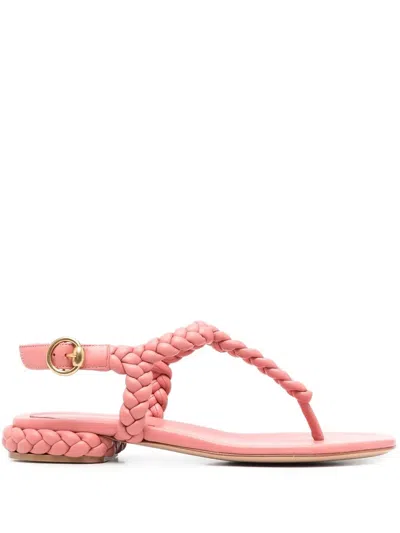 Gianvito Rossi Braided-strap Flat Sandals In Pink