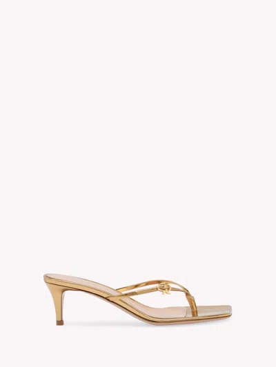 GIANVITO ROSSI RIBBON THONG 55
