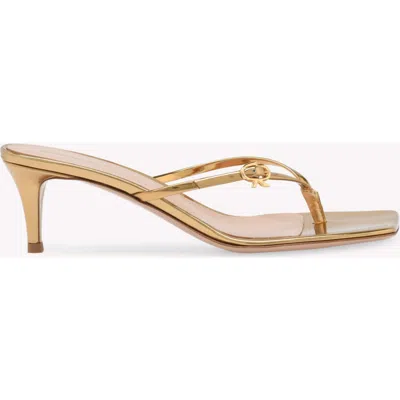 Gianvito Rossi Shanti Thong 70 Embellished Sandals In Gold