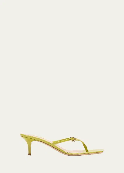 Gianvito Rossi Ribbon Thong 55 Sandals In Pistacchio