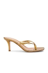 GIANVITO ROSSI RIBBON THONG SANDAL