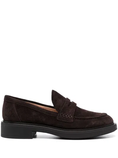 Gianvito Rossi Rossi Suede Harris Loafer In Brown