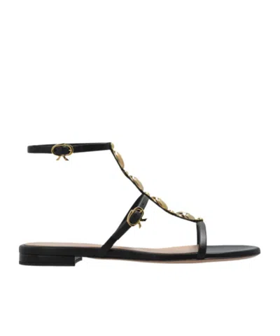 Gianvito Rossi Round-headed Flat Sandals In Black