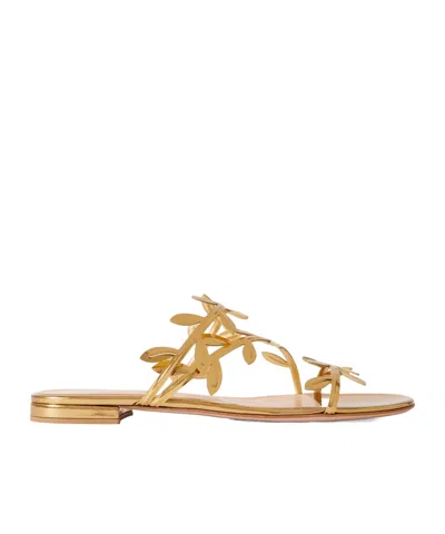 Gianvito Rossi Round-headed Sandals In Nude