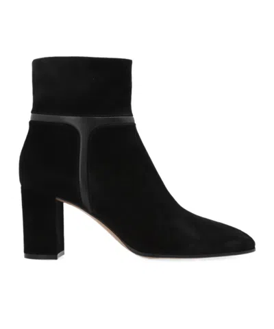 Gianvito Rossi Round-toe Ankle Boots In Black