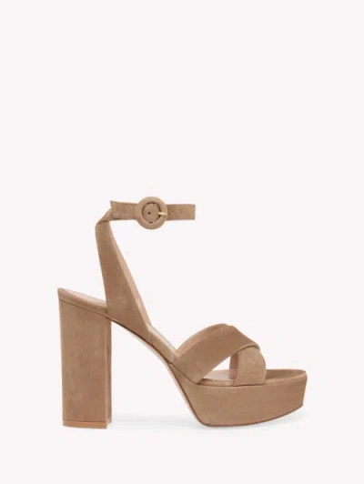 Gianvito Rossi Sabrina Sandal In Brown