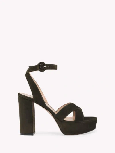 Gianvito Rossi Sabrina Sandals