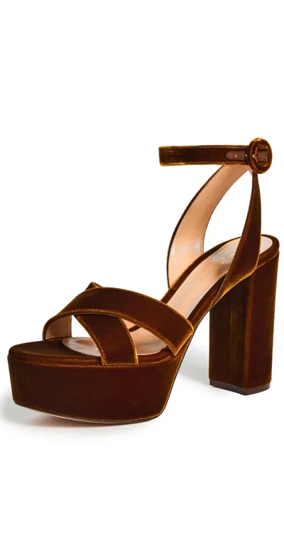 Gianvito Rossi Sabrina 115 Velvet Platform Sandals In Brown