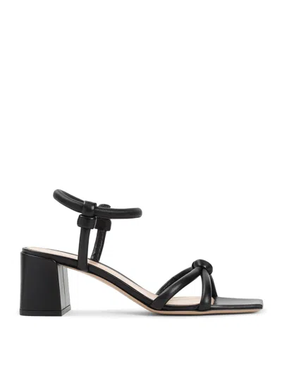 Gianvito Rossi Sandalias - Negro
