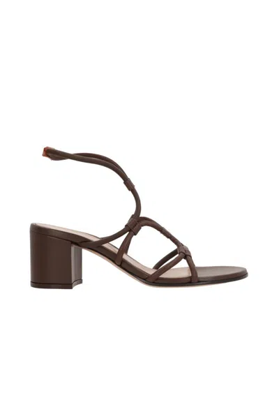 Gianvito Rossi Sandals In Brown