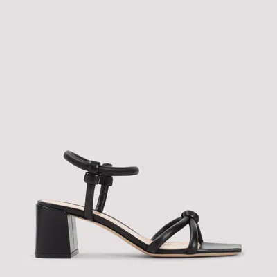 Gianvito Rossi Block Heel Nappa Leather Sandals In Black