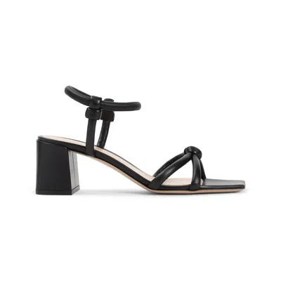 GIANVITO ROSSI GIANVITO ROSSI SANDALS