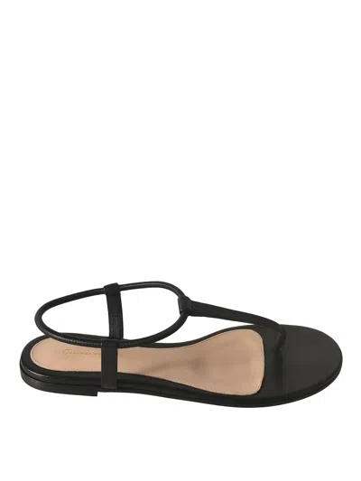 Gianvito Rossi Thong Sandal In Black