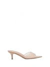 Gianvito Rossi Women Elle Pumps In Pink