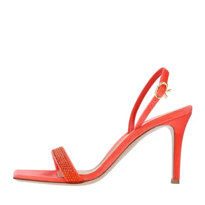 Gianvito Rossi Sandals Orange In Arancio Vivaci