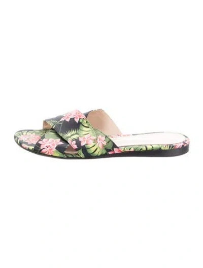 Pre-owned Gianvito Rossi Satin Floral Print Slides In Black/green