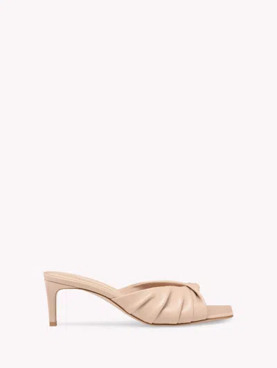 Gianvito Rossi Selene 55 In Pink